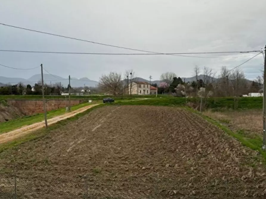 Immagine 12 di Casa indipendente in vendita  in Via Acquanera a Pernumia