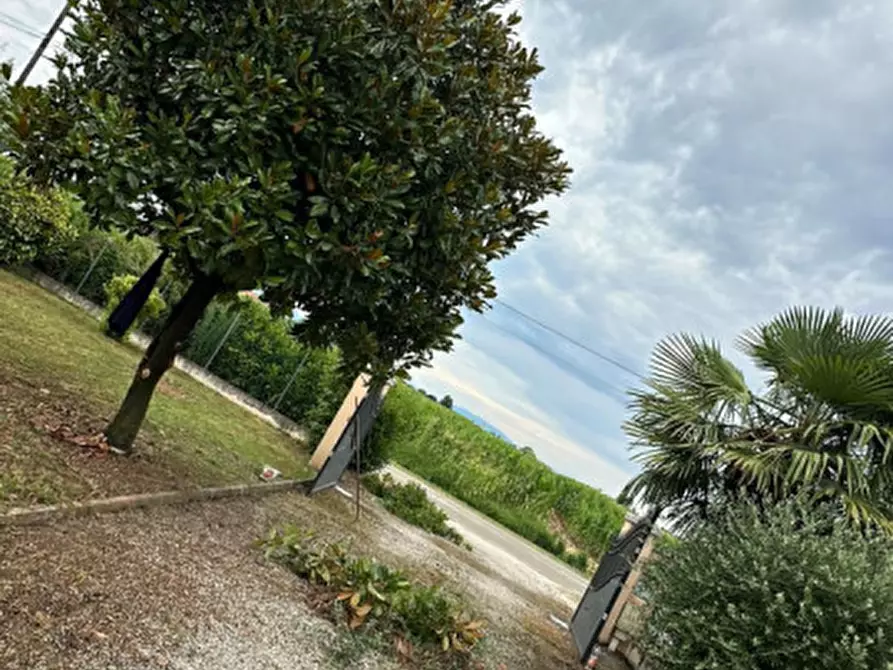 Immagine 5 di Appartamento in vendita  a Villa Del Conte