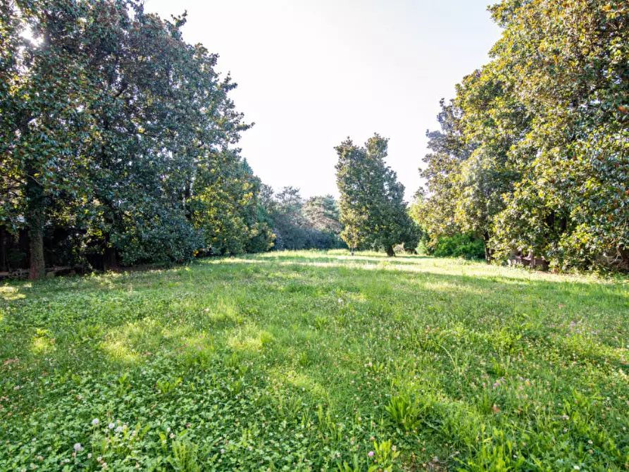 Immagine 31 di Villa in vendita  in Via XXIX Aprile a Dolo