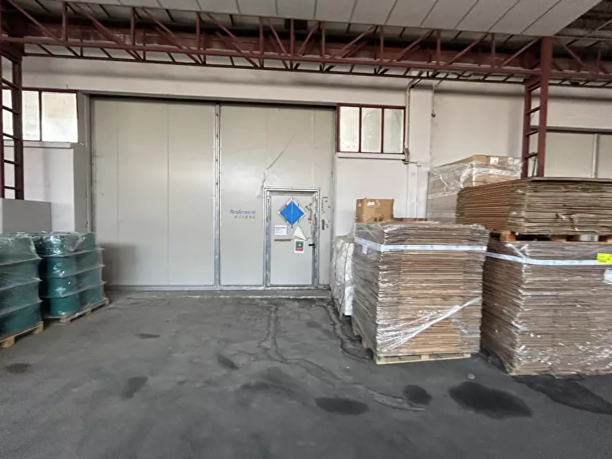 Immagine 8 di Capannone industriale in vendita  a Pinarolo Po