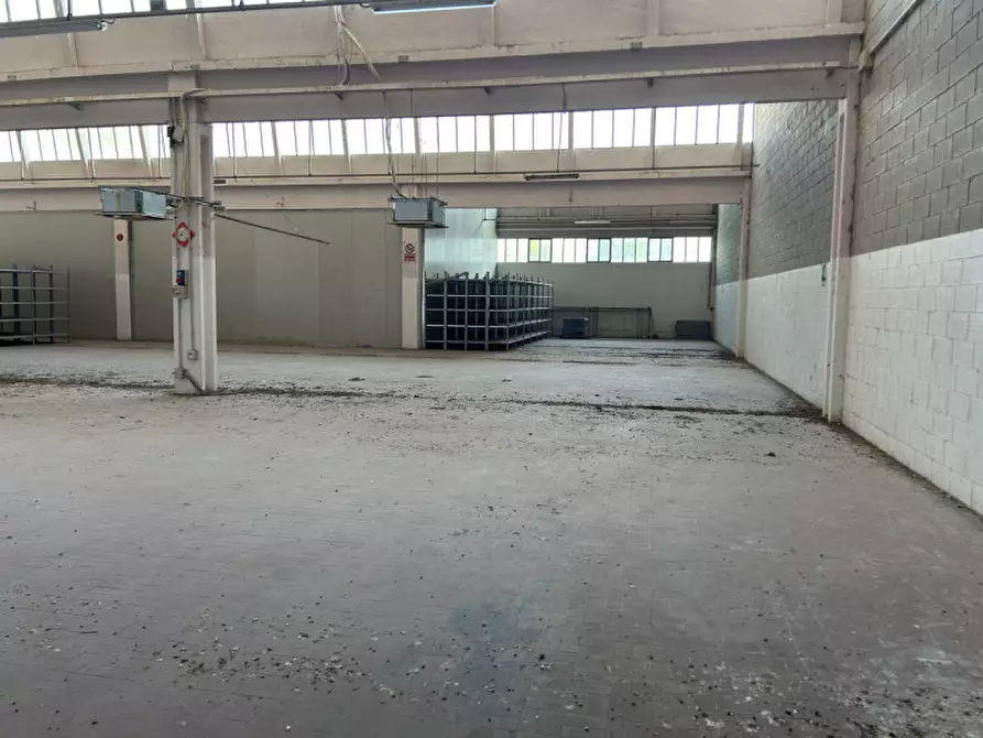 Immagine 9 di Capannone industriale in vendita  a Pinarolo Po