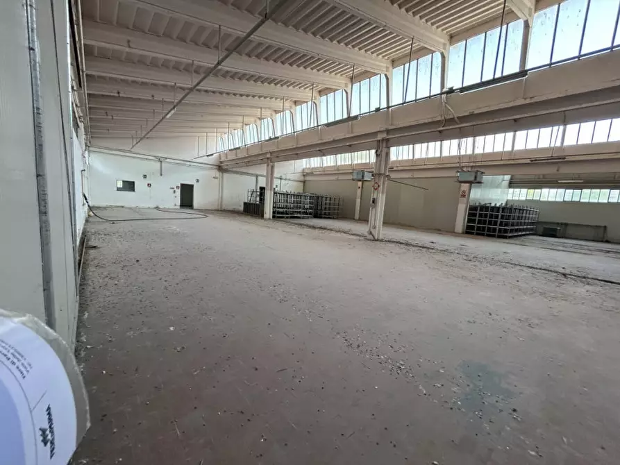 Immagine 11 di Capannone industriale in vendita  a Pinarolo Po