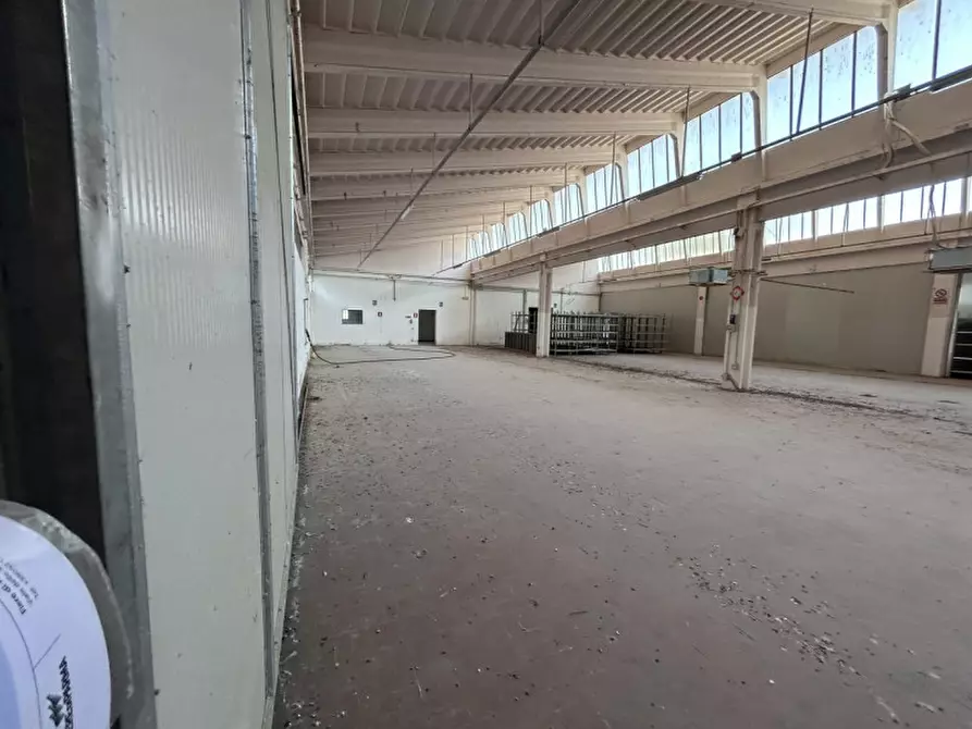 Immagine 12 di Capannone industriale in vendita  a Pinarolo Po