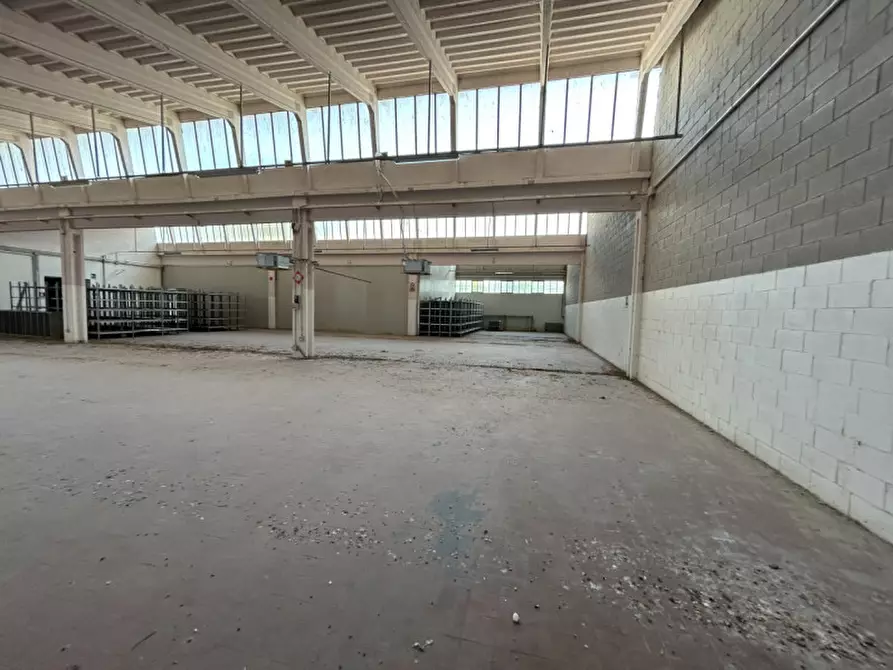 Immagine 13 di Capannone industriale in vendita  a Pinarolo Po