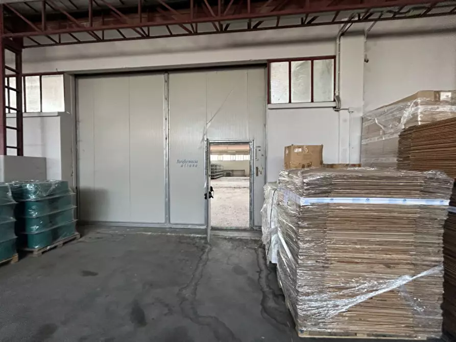 Immagine 14 di Capannone industriale in vendita  a Pinarolo Po