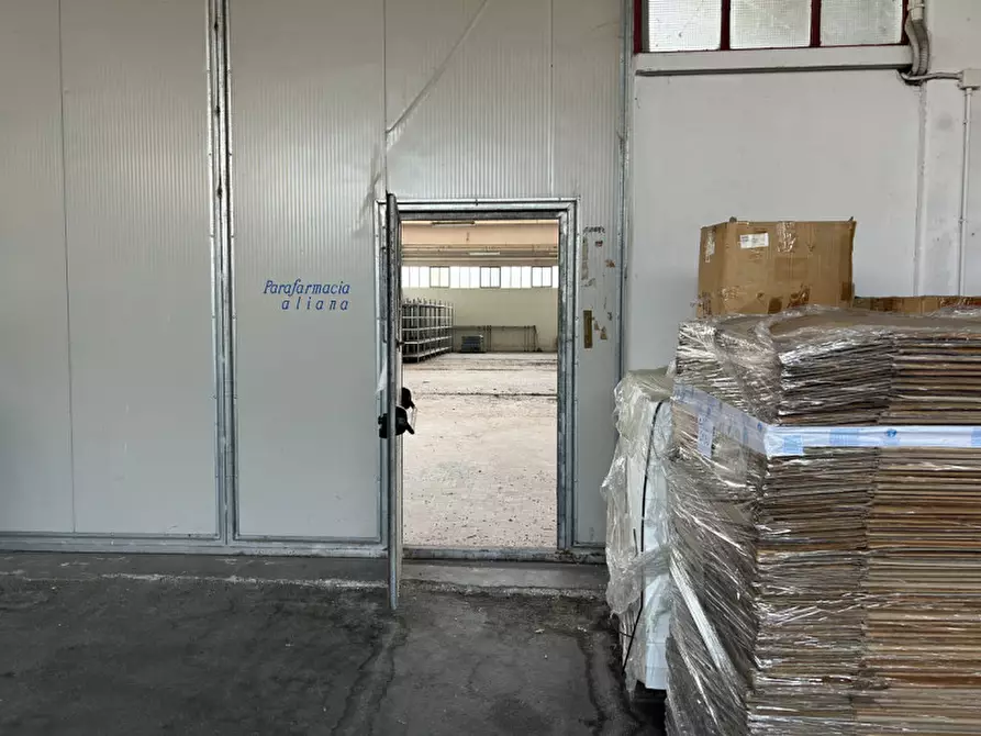 Immagine 15 di Capannone industriale in vendita  a Pinarolo Po