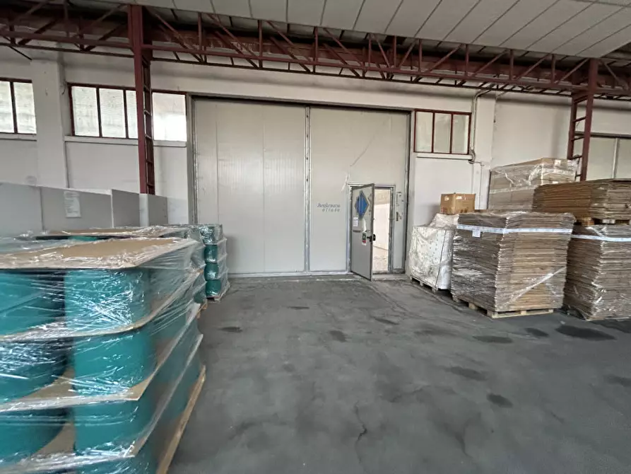 Immagine 18 di Capannone industriale in vendita  a Pinarolo Po