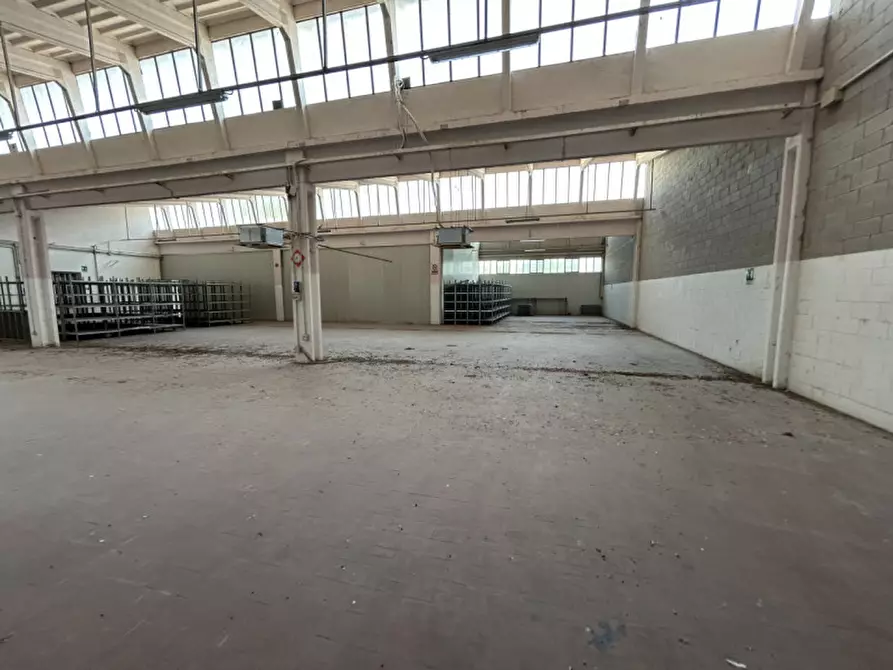 Immagine 19 di Capannone industriale in vendita  a Pinarolo Po