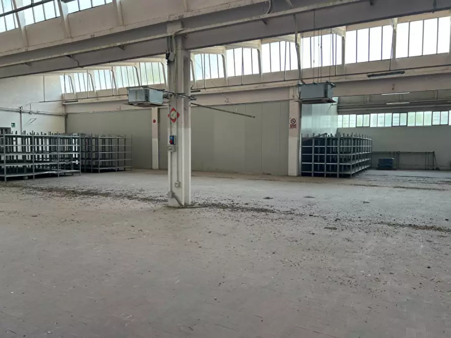 Immagine 20 di Capannone industriale in vendita  a Pinarolo Po