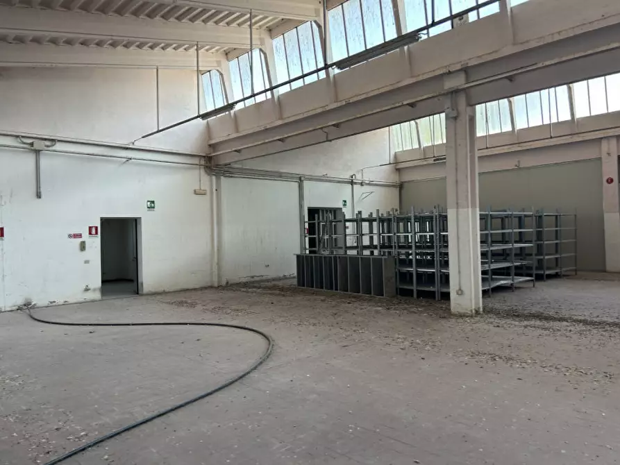 Immagine 21 di Capannone industriale in vendita  a Pinarolo Po