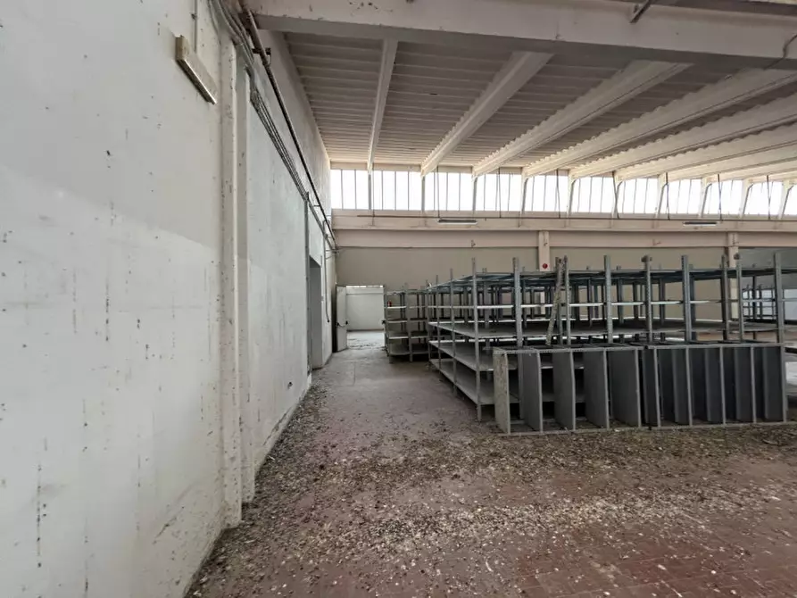 Immagine 24 di Capannone industriale in vendita  a Pinarolo Po