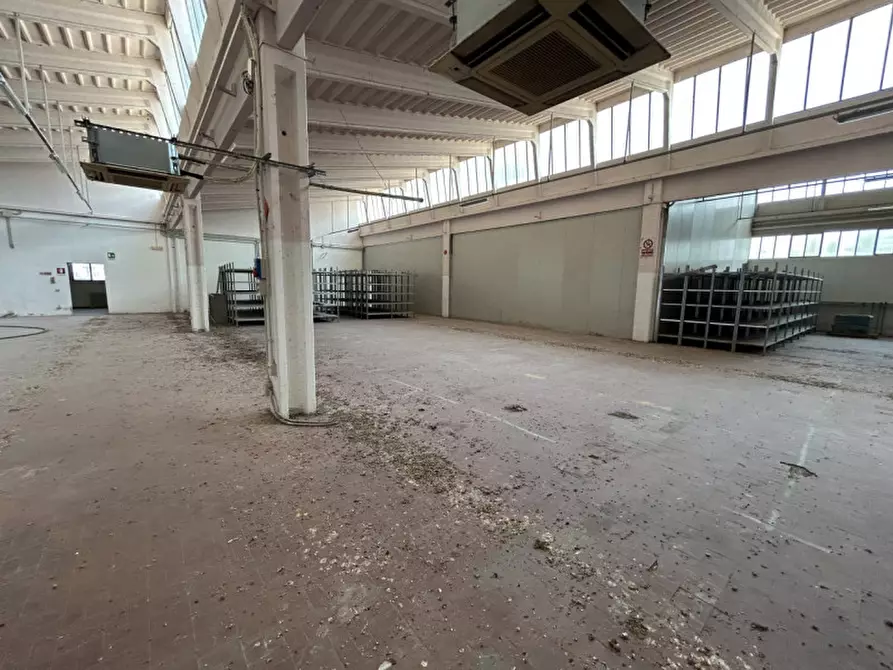 Immagine 25 di Capannone industriale in vendita  a Pinarolo Po