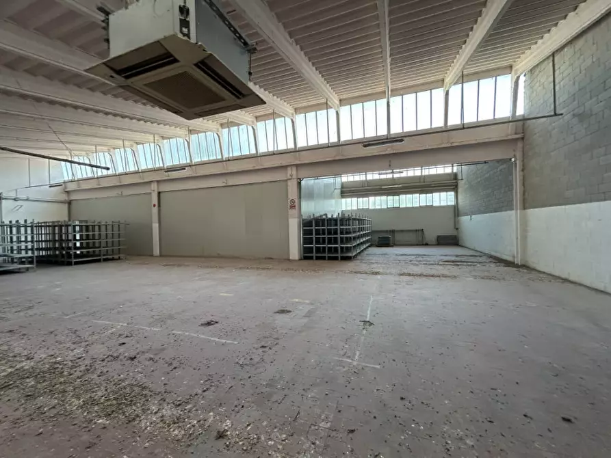 Immagine 26 di Capannone industriale in vendita  a Pinarolo Po