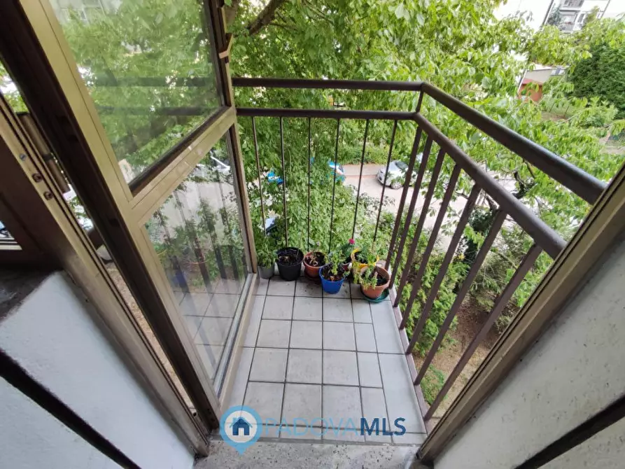 Immagine 5 di Appartamento in vendita  in Via Francesco Dorighello a Padova