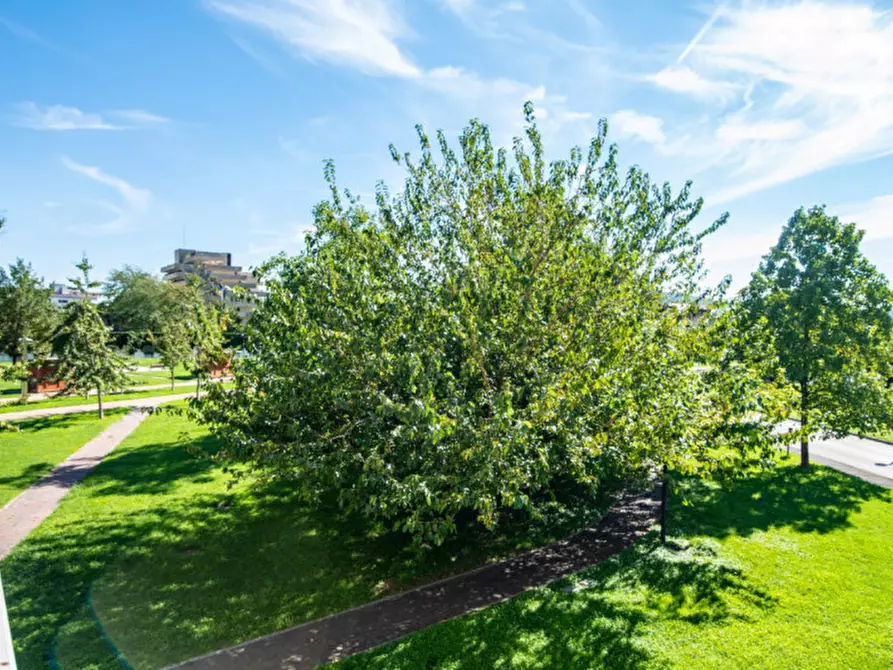 Immagine 19 di Appartamento in vendita  in Via Padre Leopoldo a Abano Terme