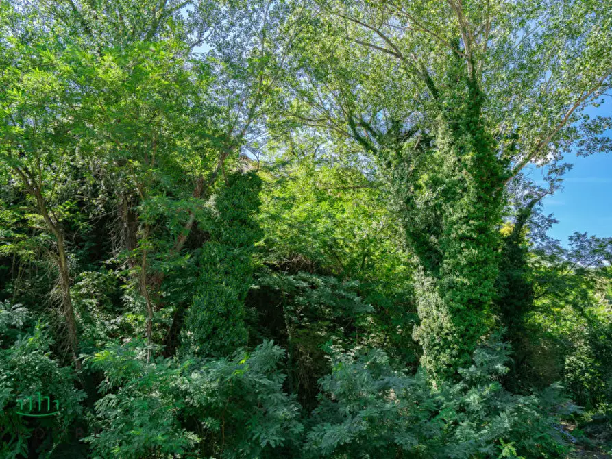 Immagine 3 di Appartamento in vendita  in VIA PORRETTANA a Sasso Marconi