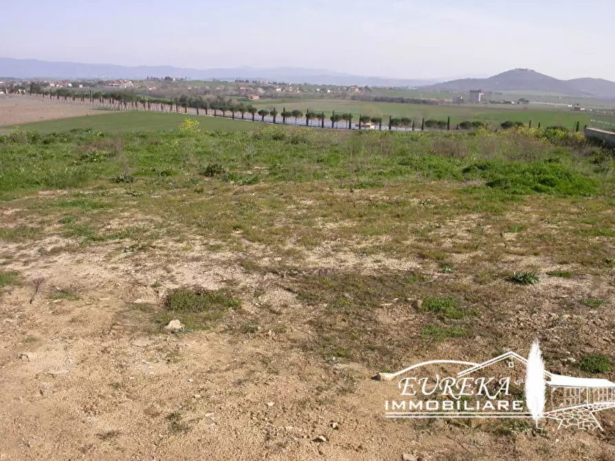 Immagine 1 di Terreno in vendita  in località mazzarelli a Paciano