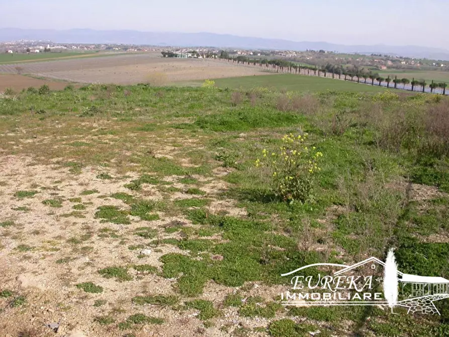 Immagine 2 di Terreno in vendita  in località mazzarelli a Paciano