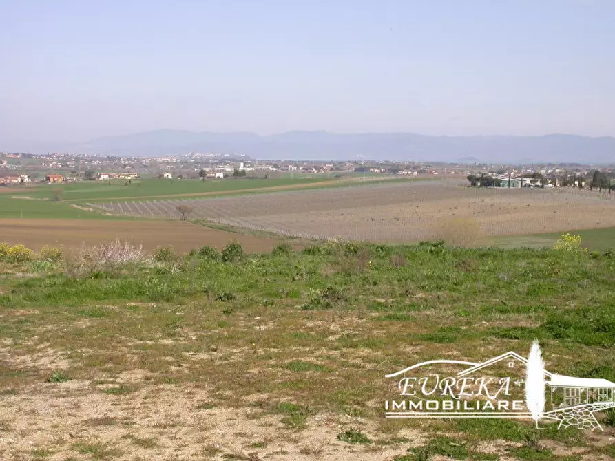 Immagine 3 di Terreno in vendita  in località mazzarelli a Paciano