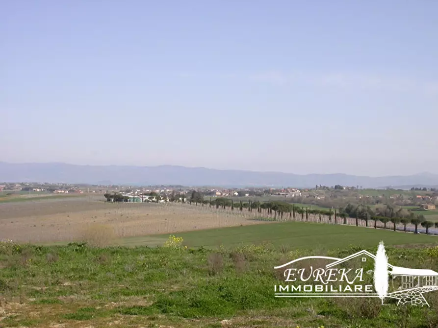 Immagine 4 di Terreno in vendita  in località mazzarelli a Paciano