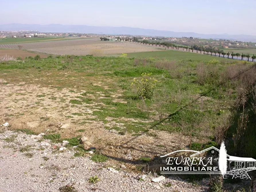 Immagine 5 di Terreno in vendita  in località mazzarelli a Paciano