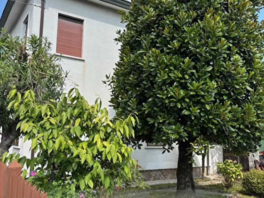 Immagine 17 di Camera in affitto  a Padova