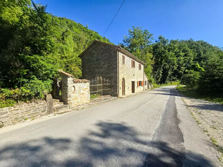 Immagine 3 di Casa indipendente in vendita  in Vocabolo Molino Guinza a Mercatello Sul Metauro