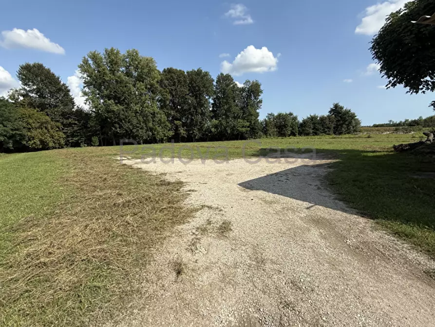 Immagine 1 di Terreno in vendita  a Vigodarzere