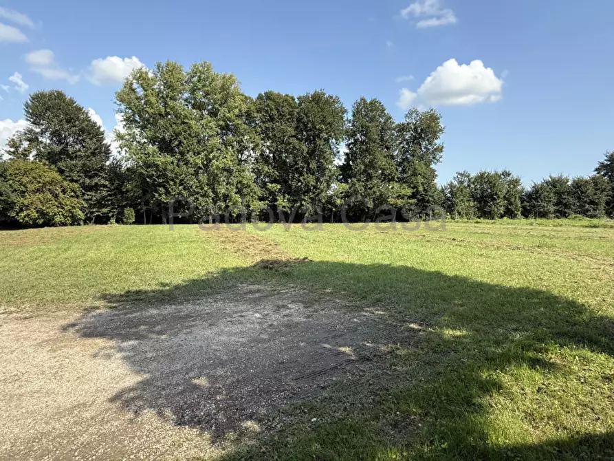 Immagine 2 di Terreno in vendita  a Vigodarzere