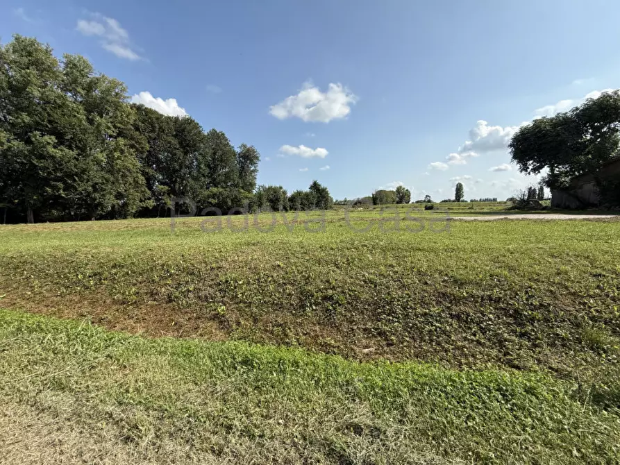 Immagine 3 di Terreno in vendita  a Vigodarzere