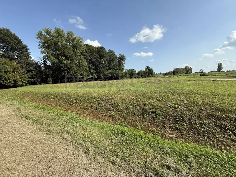 Immagine 4 di Terreno in vendita  a Vigodarzere