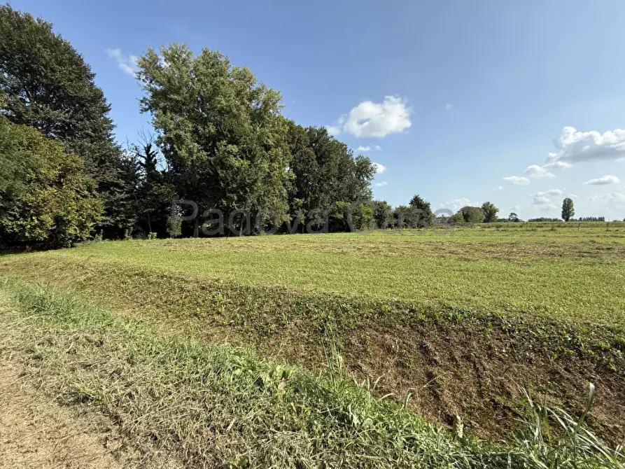 Immagine 6 di Terreno in vendita  a Vigodarzere