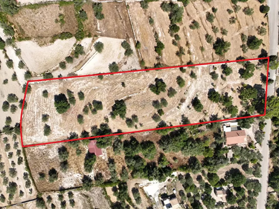 Immagine 15 di Casa indipendente in vendita  a Modica