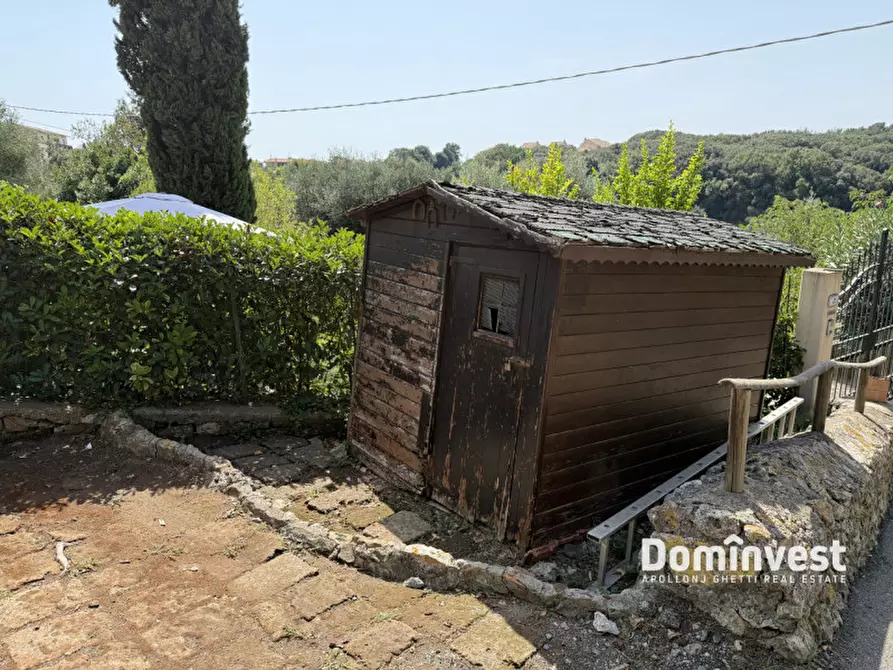 Immagine 3 di Appartamento in vendita  in Via Giacomo Puccini a Capalbio