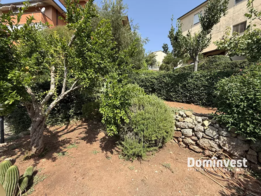 Immagine 5 di Appartamento in vendita  in Via Giacomo Puccini a Capalbio