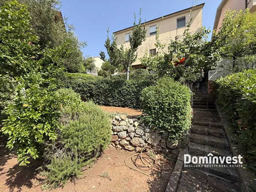 Immagine 6 di Appartamento in vendita  in Via Giacomo Puccini a Capalbio