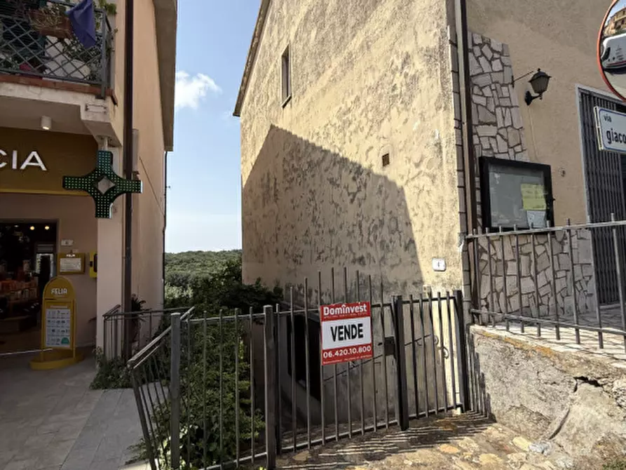 Immagine 27 di Appartamento in vendita  in Via Giacomo Puccini a Capalbio