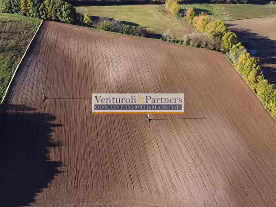 Immagine 3 di Terreno in vendita  in località navicella a Lonato del Garda