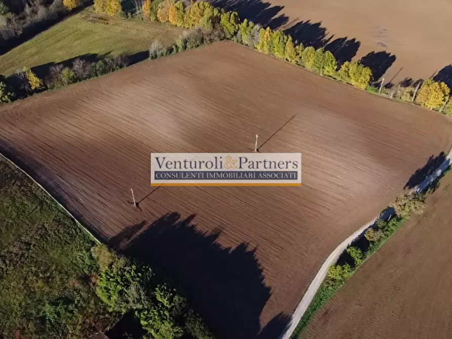 Immagine 8 di Terreno in vendita  in località navicella a Lonato del Garda