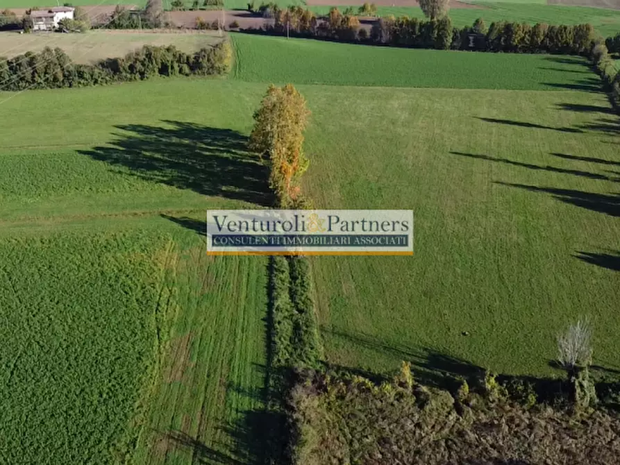 Immagine 9 di Terreno in vendita  in località navicella a Lonato del Garda