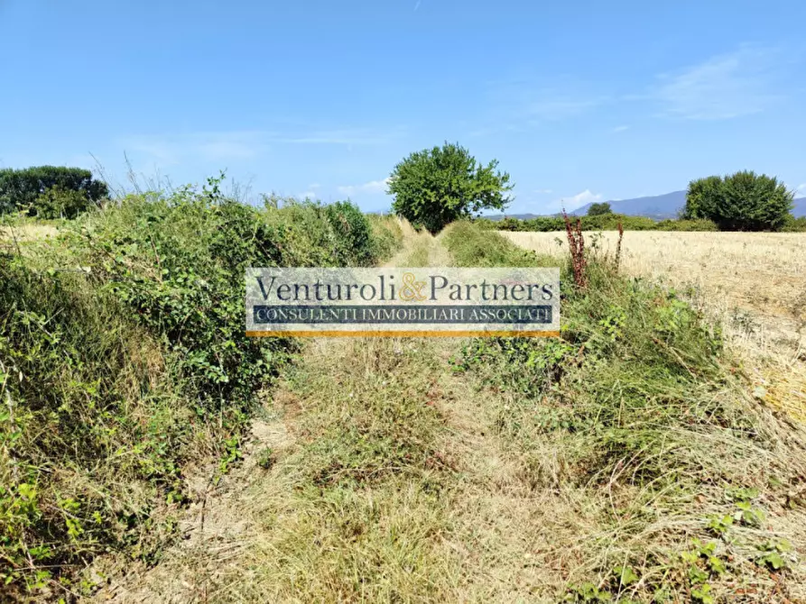 Immagine 10 di Terreno in vendita  in località navicella a Lonato del Garda