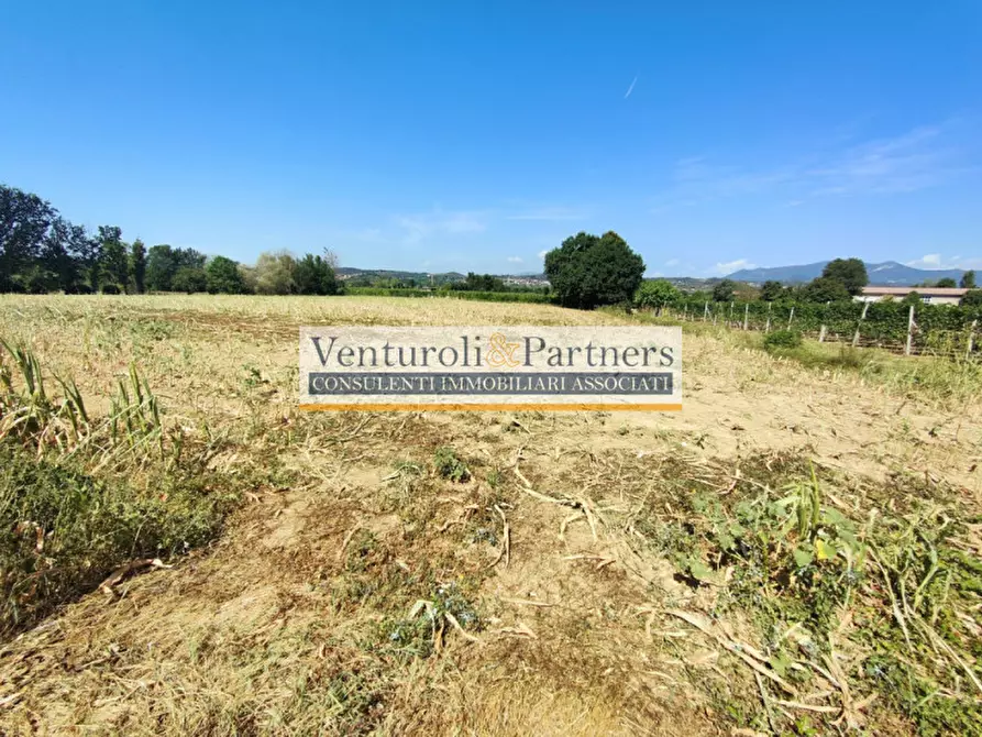 Immagine 12 di Terreno in vendita  in località navicella a Lonato del Garda