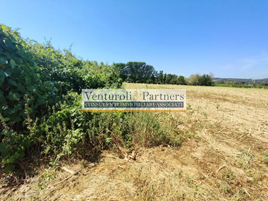 Immagine 14 di Terreno in vendita  in località navicella a Lonato del Garda