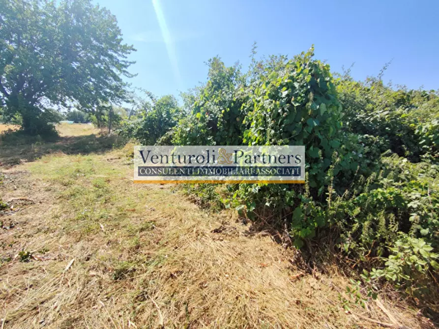 Immagine 15 di Terreno in vendita  in località navicella a Lonato del Garda