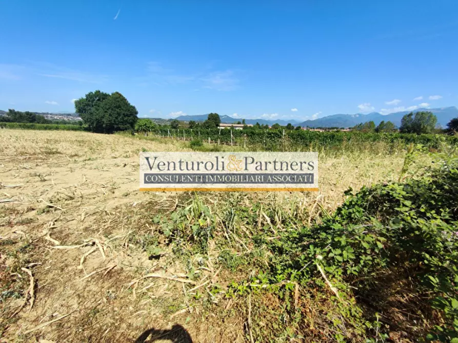 Immagine 16 di Terreno in vendita  in località navicella a Lonato del Garda