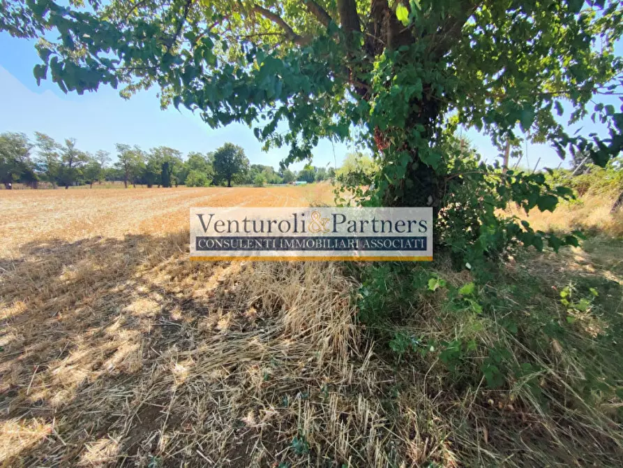 Immagine 17 di Terreno in vendita  in località navicella a Lonato del Garda