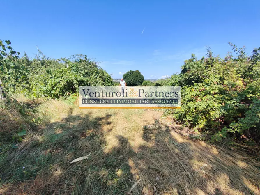 Immagine 18 di Terreno in vendita  in località navicella a Lonato del Garda