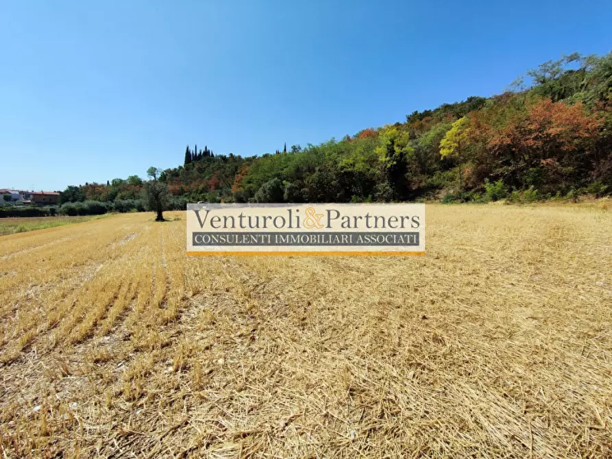 Immagine 19 di Terreno in vendita  in località navicella a Lonato del Garda