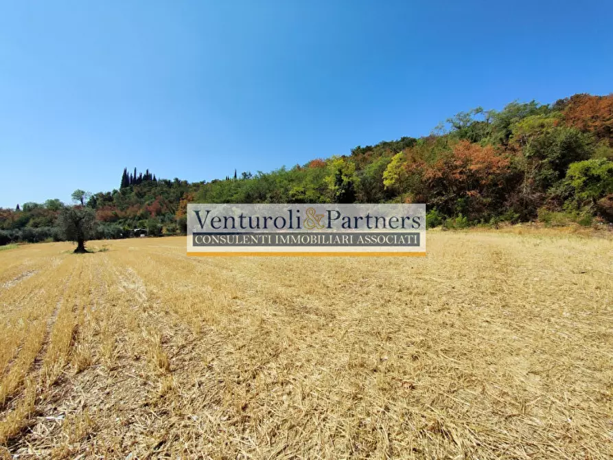 Immagine 21 di Terreno in vendita  in località navicella a Lonato del Garda