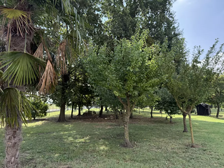 Immagine 9 di Casa indipendente in vendita  in Via Roma a Ponso